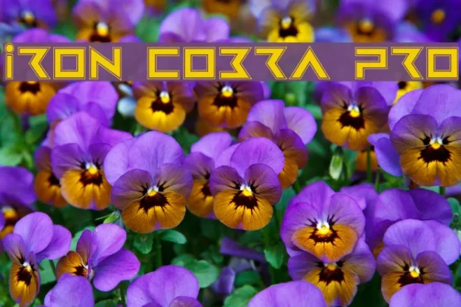 Iron Cobra Pro Example 3