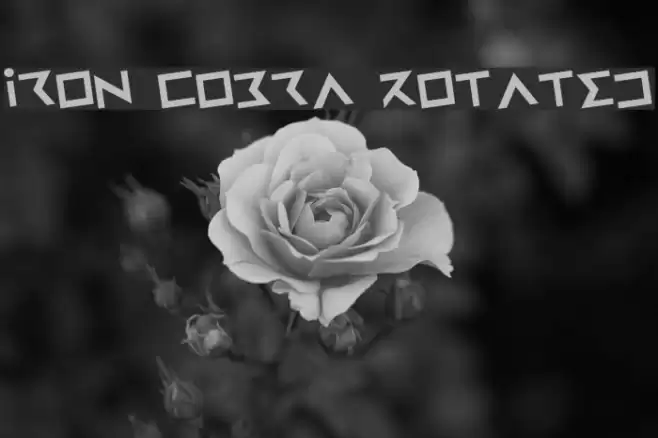 Iron Cobra Rotated Font examples
