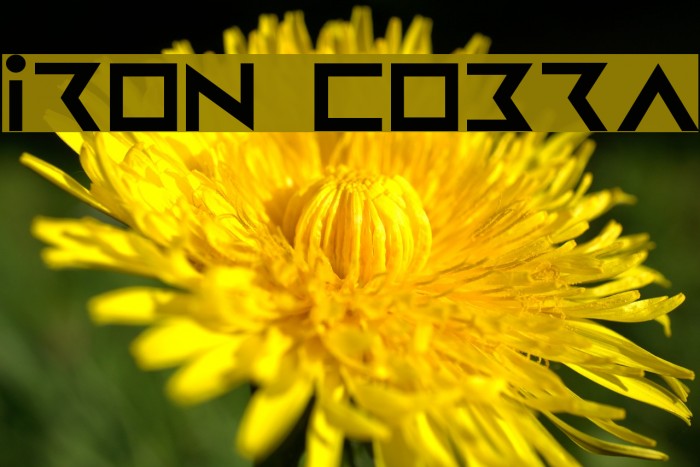 Iron Cobra Font examples
