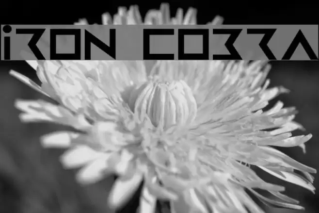 Iron Cobra Font examples