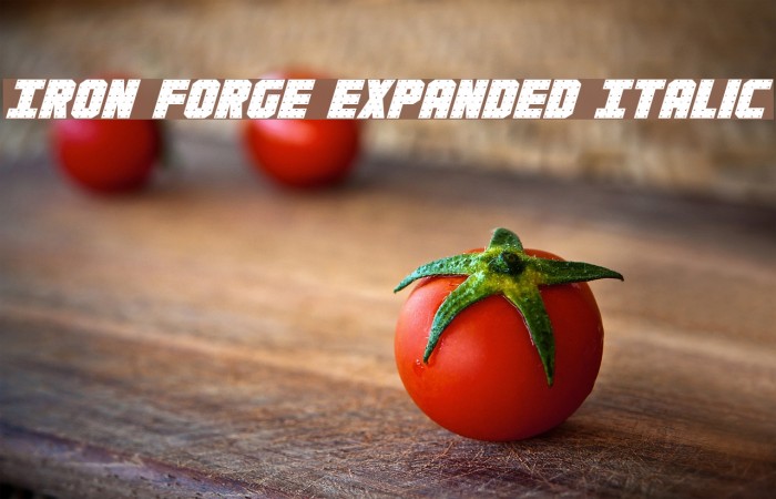 Iron Forge Expanded Italic Font examples