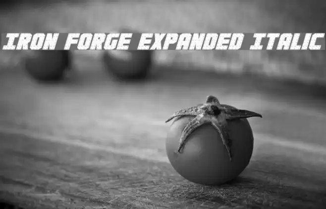 Iron Forge Expanded Italic Font examples