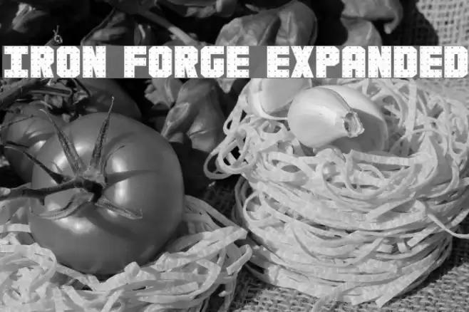 Iron Forge Expanded Font examples