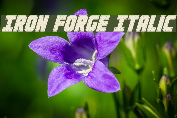 Iron Forge Italic フォント examples
