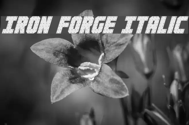 Iron Forge Italic Font examples
