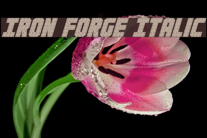 Iron Forge Italic フォント examples