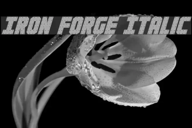 Iron Forge Italic Font examples