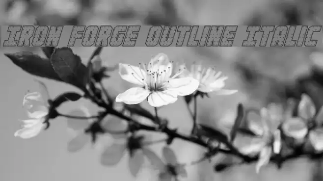 Iron Forge Outline Italic examples