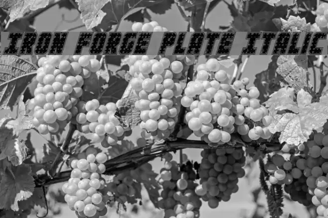 Iron Forge Plate Italic Font examples