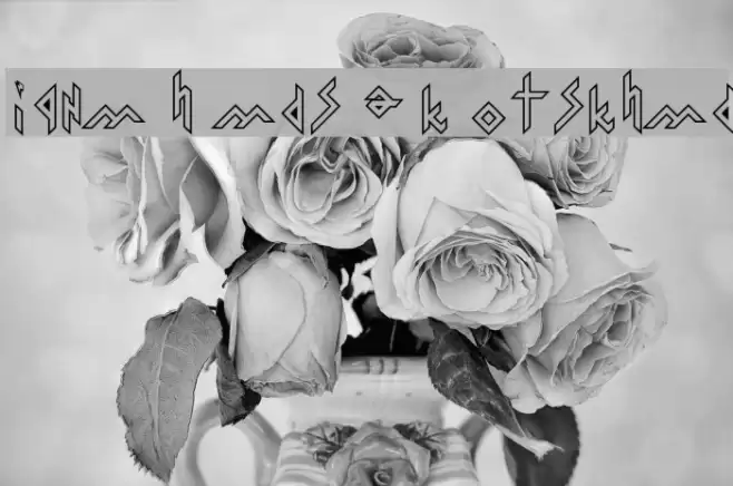 Iron H Metal Outline Font examples