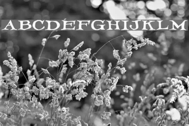 Iron-Latch  examples