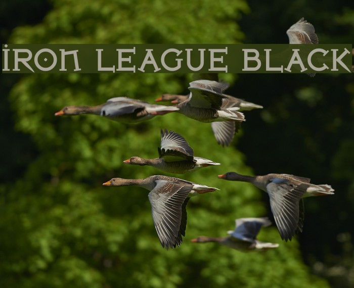 Iron League Black Font examples