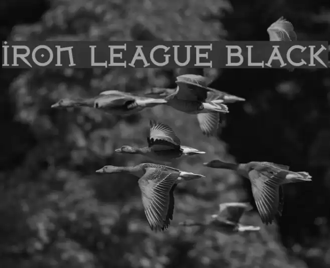 Iron League Black Font examples