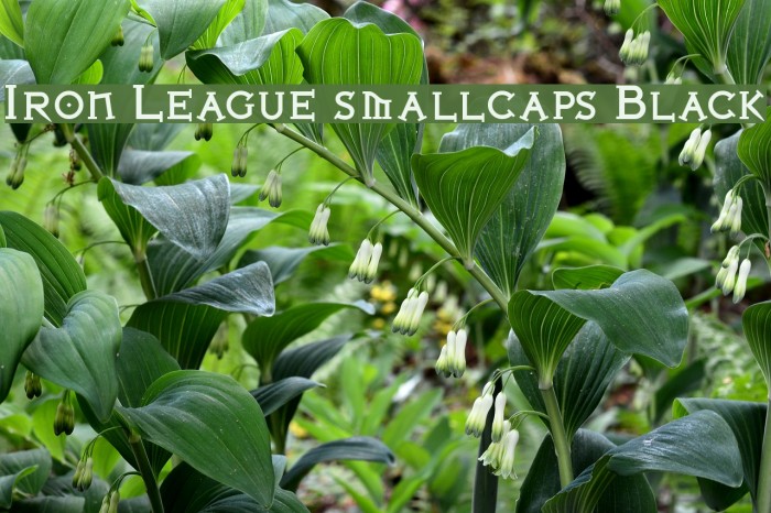 Iron League smallcaps Black Font examples