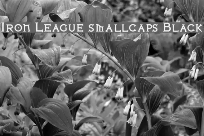 Iron League smallcaps Black Polices examples