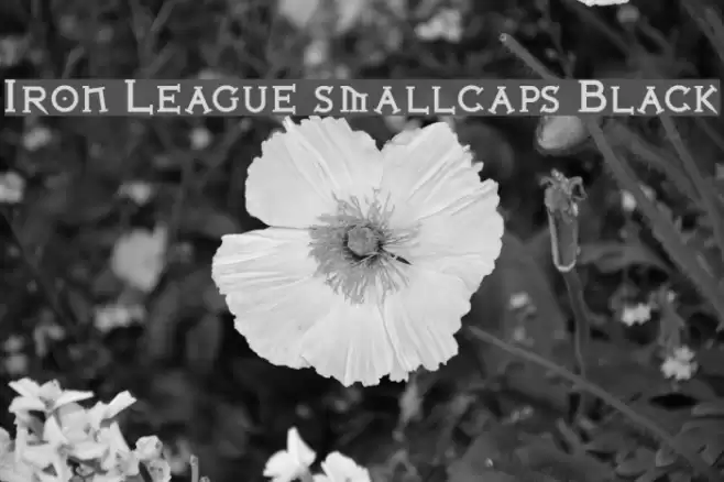 Iron League smallcaps Black Polices examples