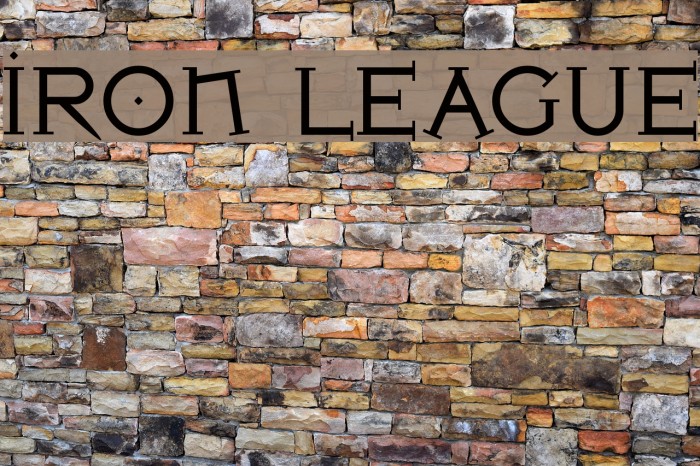 Iron League Polices examples