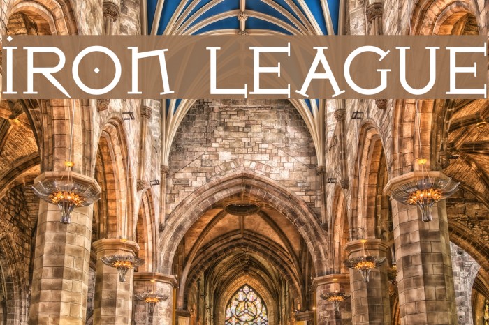 Iron League Polices examples