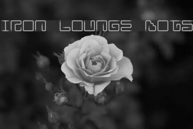 Iron Lounge Dots خط examples