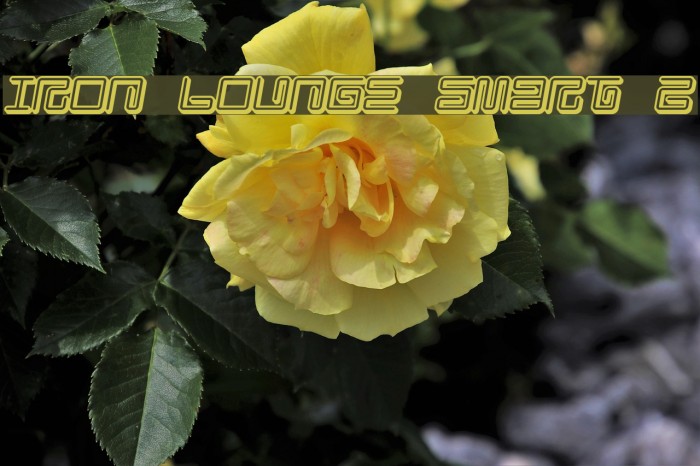Iron Lounge Smart 2 Font examples
