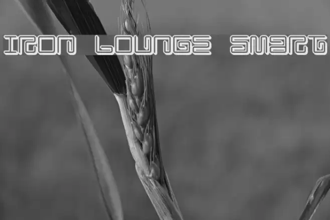 Iron Lounge Smart Font examples