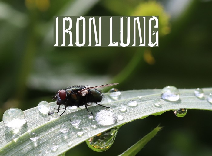 Iron Lung Font examples