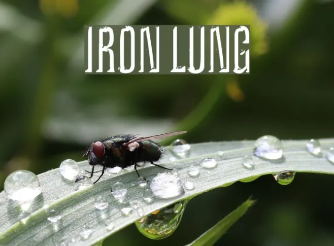Iron Lung Example 1