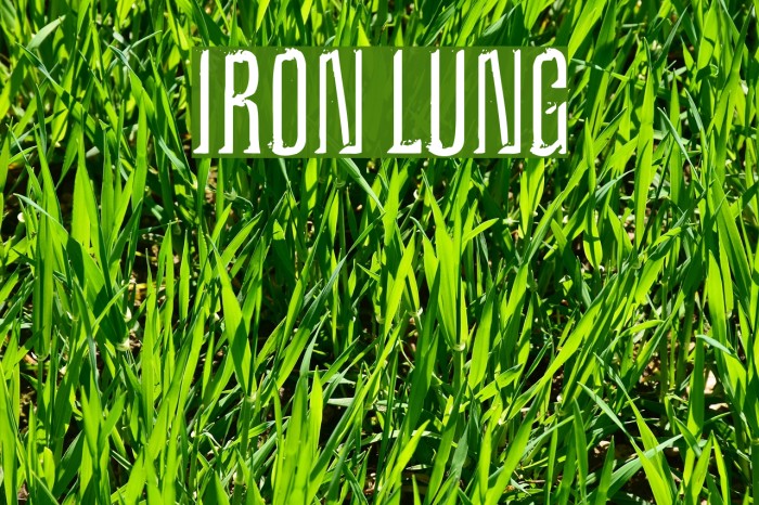Iron Lung Font examples
