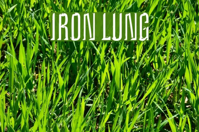 Iron Lung Example 2