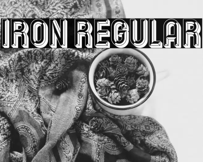 Iron Regular Font examples