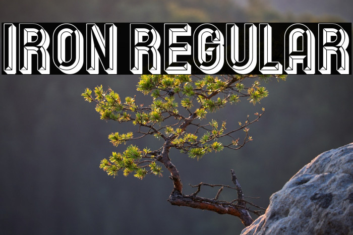 Iron Regular Example 3