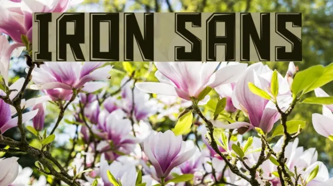 Iron Sans Example 2
