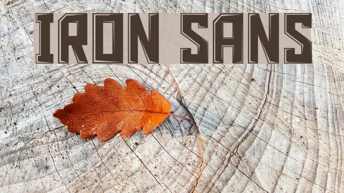Iron Sans Font examples
