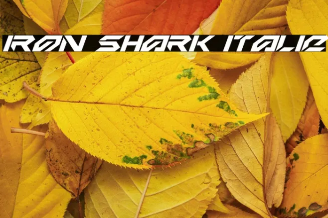 Iron Shark Italic Example 2