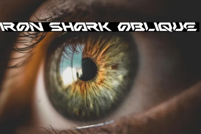 Iron Shark Oblique Example 2