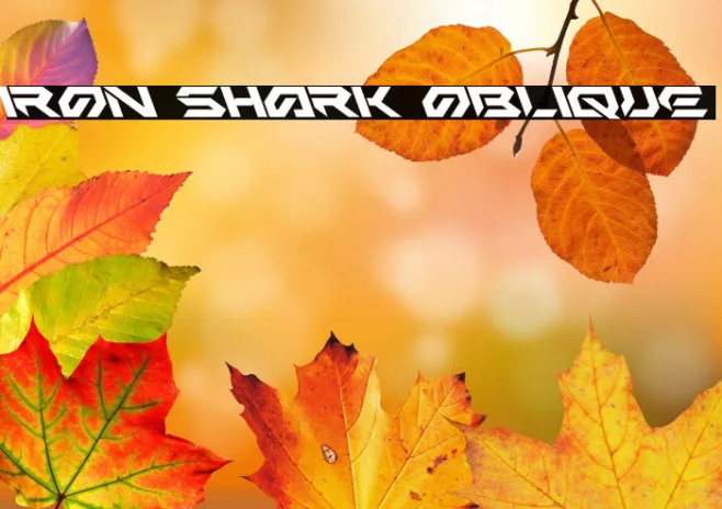 Iron Shark Oblique Example 3