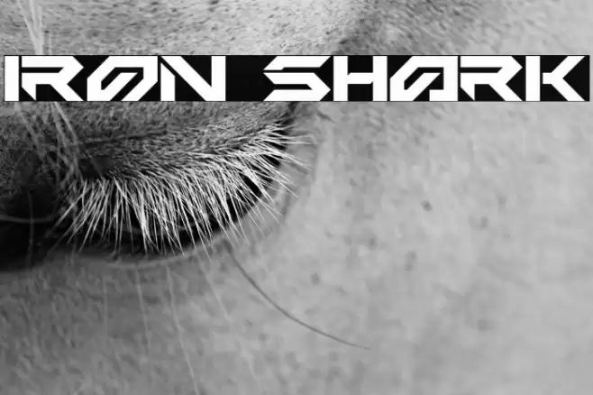 Iron Shark Font examples