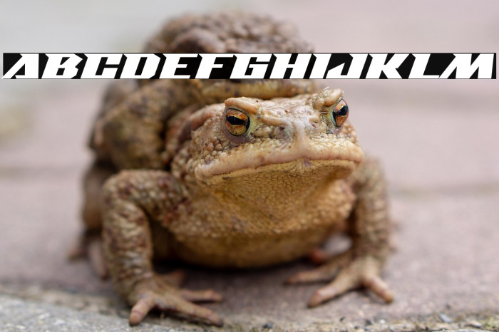 IronBridge Example 3