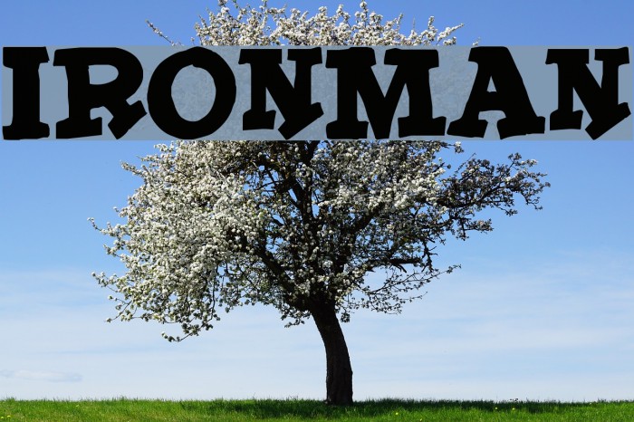 IronMan Font examples