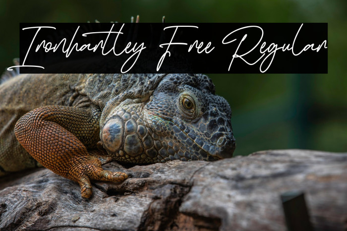 Ironhartley Free Regular Example 3