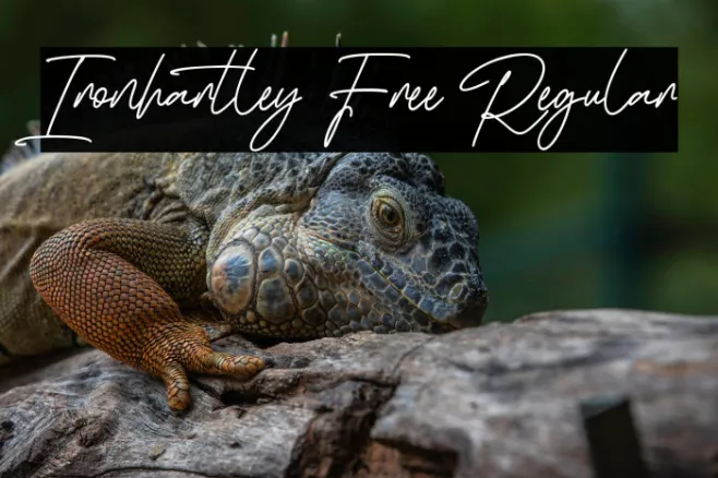 Ironhartley Free Regular Example 3