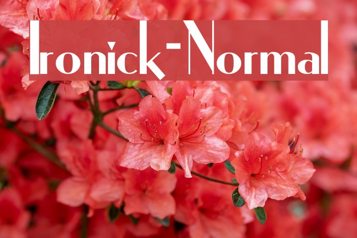 Ironick-Normal Font examples