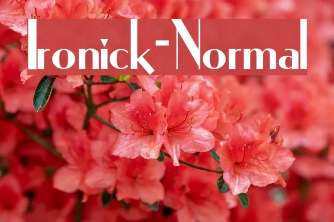 Ironick-Normal Example 1