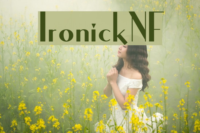 IronickNF Font examples