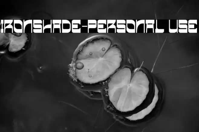 Ironshade-Personal use خط examples