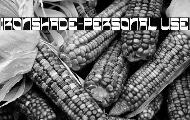 Ironshade-Personal use خط examples