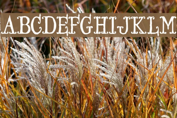Ironworks!` Font examples