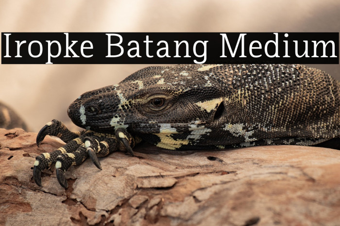 Iropke Batang Medium Example 1