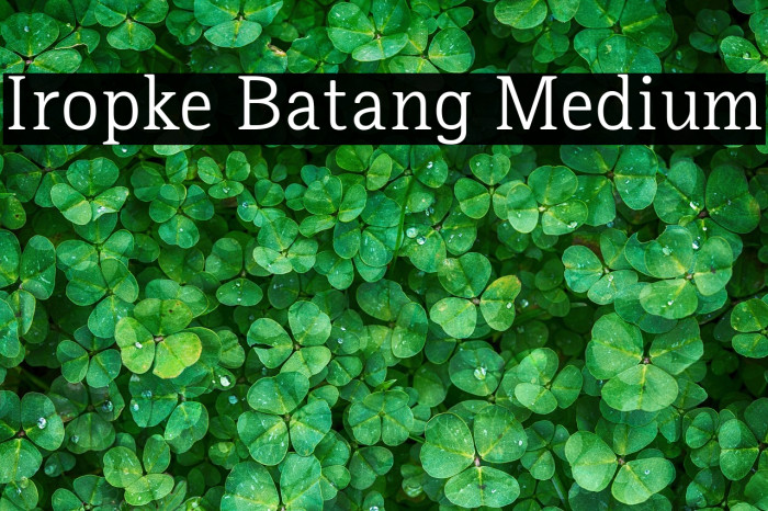 Iropke Batang Medium Example 2