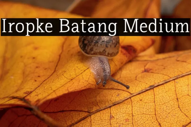 Iropke Batang Medium Example 3